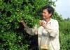 Mô hình VACR cho thu nhập gần 100 triệu đồng/năm