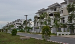 Ảnh minh họa. Ảnh: Như Lam