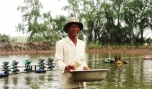 Anh Huỳnh Văn Phương chuyển nghề nuôi tôm.