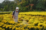 Hoa được gói giấy cẩn thận.