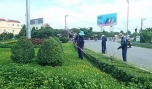 Chăm sóc cây xanh tại khu vực cầu Rạch Miễu.