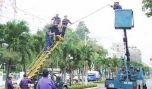 Công nhân Công ty TNHH MTV Công trình đô thị Mỹ Tho thi công lắp đặt đèn chiếu sáng trên đường 30-4. Ảnh: N.C