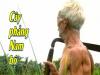 Cây phảng nam bộ