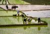 Ảnh: Sơn Lâm - Nguồn: tuanvietnam