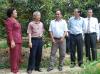 Chủ tịch Quốc hội Nguyễn Phú Trọng tìm hiểu mô hình nông dân sản xuất kinh doanh giỏi ở xã Ngũ Hiệp, huyện Cai Lậy