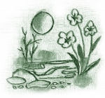 Minh hoạ: Thanh Tiên