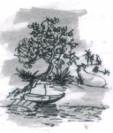 minh họa: Thanh Sơn