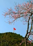 Tổ quốc nơi biên thùy