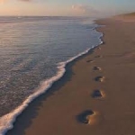 Bước chân thì ngắn, đường đời thì xa...