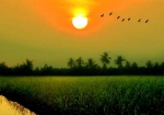 Lần đêm mót lại tuổi mình