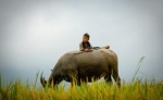 Trò chơi