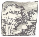 minh hoạ: Thanh Sơn