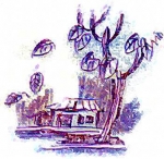 minh hoạ: Thanh Tiên