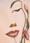 Khôn ngoan cũng thể đàn bà