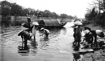 Ký ức những dòng kinh