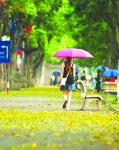 Ảnh minh họa. Nguồn: Internet