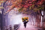 Nghe lại những "tuyệt phẩm" âm nhạc về mùa thu