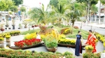 Hoa Tết - từ chuyện cung cầu đến thưởng lãm