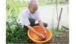 Thương binh Lê Văn Giàu: Cuộc sống khấm khá nhờ nuôi cá cảnh