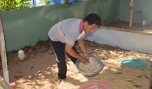 Anh Linh đang cho rắn mối ăn.