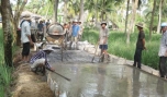 Sản xuất đã có bước phát triển nhưng giá cả còn bấp bênh, chất lượng chưa cao.