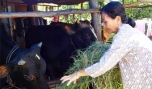 Bà Trần Ngọc Chơi: Cán bộ Hội Phụ nữ cơ sở giỏi
