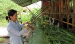 Hội LHPN xã Bình Nghị: Nhiều mô hình "Dân vận khéo" mang lại hiệu quả
