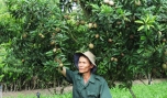 CCB Nguyễn Văn Vàng: "Tỏa sáng" giữa cuộc sống đời thường