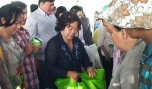 Nguyên Phó Chủ tịch nước Trương Mỹ Hoa trao tặng 400 phần quà Tết