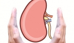 Bảo vệ thận khi dùng thuốc