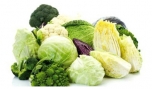 Rau cải giúp hạn chế suy giảm trí nhớ