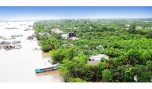 Một góc cù lao Thới Sơn.