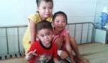 Ăn cây kim phát tài, 3 trẻ phải nhập viện
