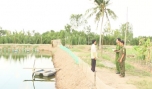 Cảnh báo tình trạng trộm cắp dụng cụ nuôi trồng thủy sản