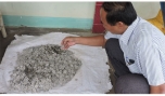 Phát hiện tiền cổ thời nhà Nguyễn