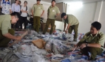 Tiến hành đập, cắt các tang vật vi phạm.