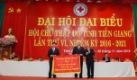 Ông Trần Thanh Đức, Phó Chủ tịch UBND tỉnh trao Bức trướng của UBND tỉnh cho đại diện Hội CTĐ tỉnh.