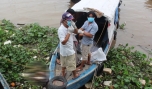 Phát hiện một thi thể nam trên sông Tiền