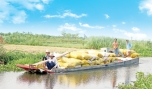 Mực nước trong nội đồng ở huyện Gò Công Đông còn khá dồi dào.