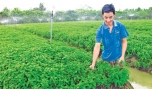 Nông dân mạnh dạn áp dụng khoa học - kỹ thuật vào sản xuất để đạt năng suất, chất lượng cao. Ảnh: Ngô Tông