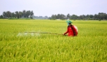 Phong trào nông dân SX-KD giỏi huyện Gò Công Tây đã giúp nâng cao thu nhập nông dân.