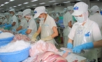 Chế biến cá tra xuất khẩu tại Công ty CP Hùng Vương- KCN Mỹ Tho.