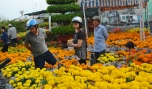 Chợ Hoa Xuân Giáp Ngọ năm 2014 tiếp tục được tổ chức tại khu vực Công viên Lạc Hồng.