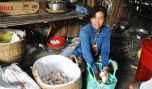 Chị Nguyệt Minh phấn khởi với thu nhập từ vịt đẻ.