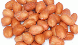 Đậu phộng