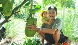 Đặng Văn Chín bên gốc mít Thái siêu sớm.