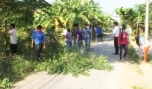 Đoàn viên, thanh niên ra quân "Ngày chủ nhật xanh"