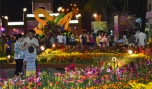 Người dân tham quan Đường hoa Hùng Vương vào dịp xuân Quý Tỵ - 2013. Ảnh: Vân Anh