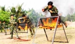 Huấn luyện võ thuật ở Đại đội trinh sát.