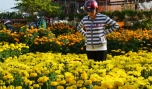 Hội Hoa xuân luôn thu hút khách tham quan và mua sắm. Ảnh: Vân Anh